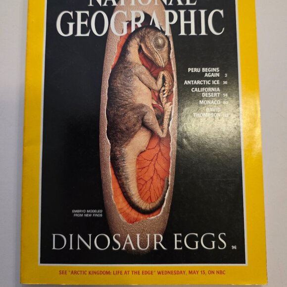 National Geographic Magazine May 1996 Dinosaur Eggs - Vintage Collectable - Picture 2 of 3